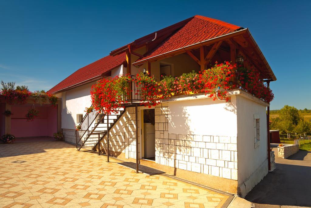 Apartment Jakovljevic Gornji Vaganac Ruang foto