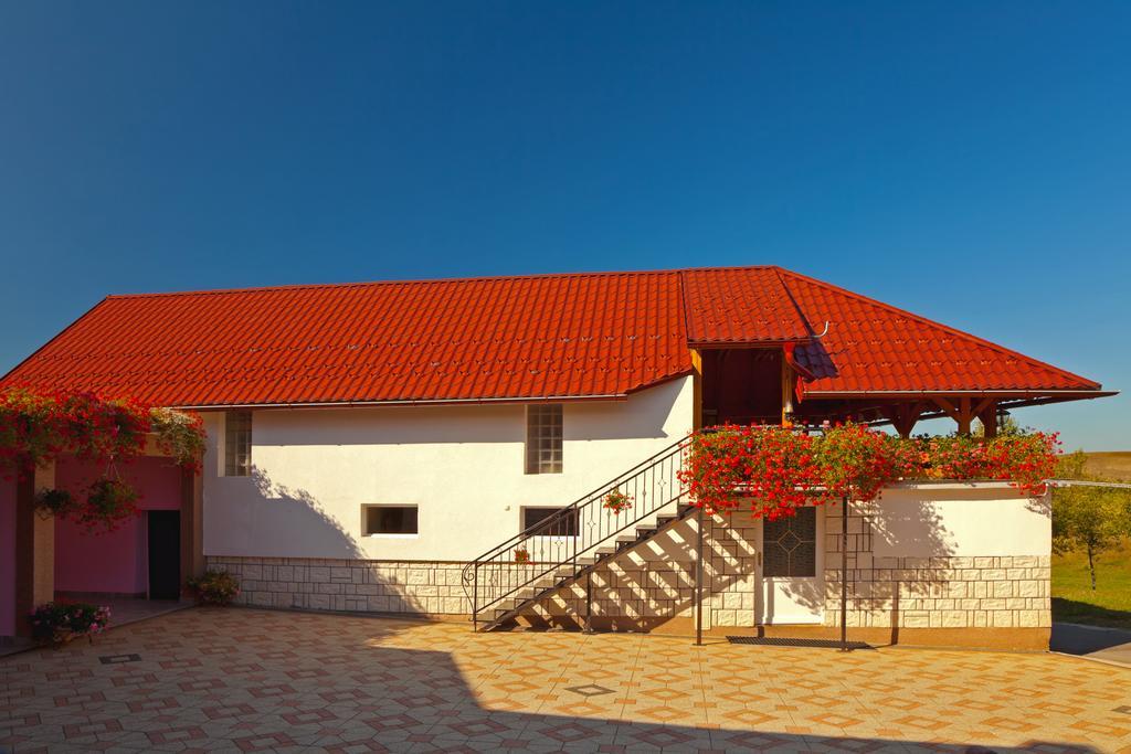 Apartment Jakovljevic Gornji Vaganac Ruang foto