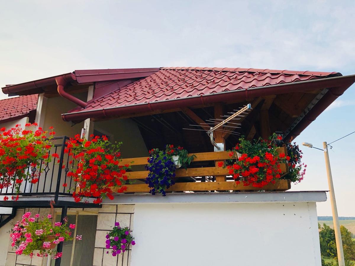 Apartment Jakovljevic Gornji Vaganac Bagian luar foto